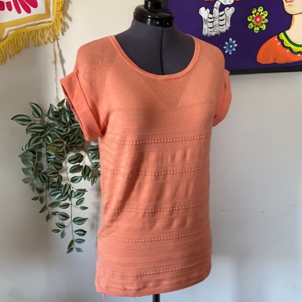 NWT The Limited Top Sz XS